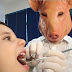 Pergunta do Cliente 25 - É normal o dentista não usar luvas durante o atendimento?