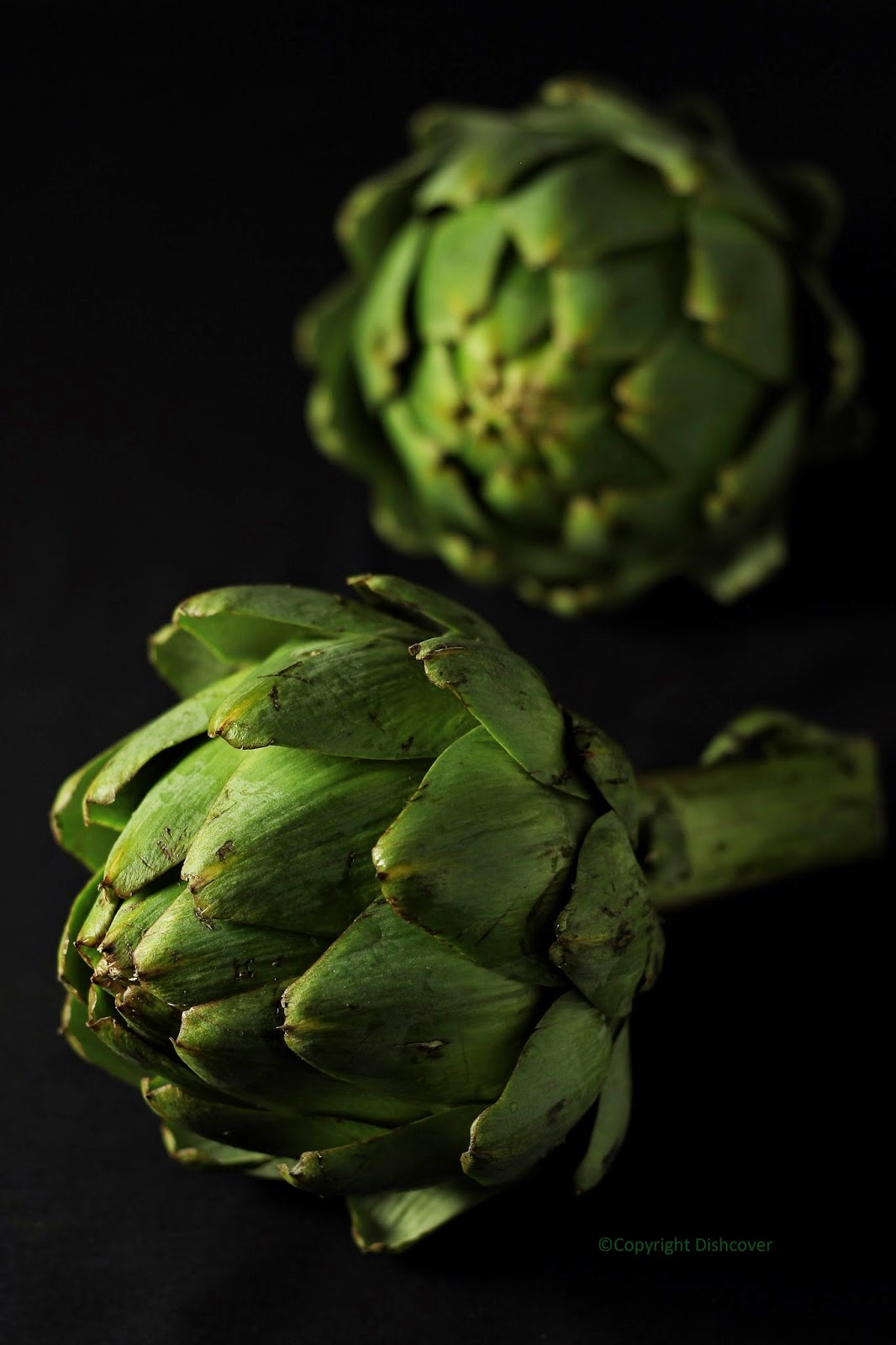 Dishcover Artisjoksalade