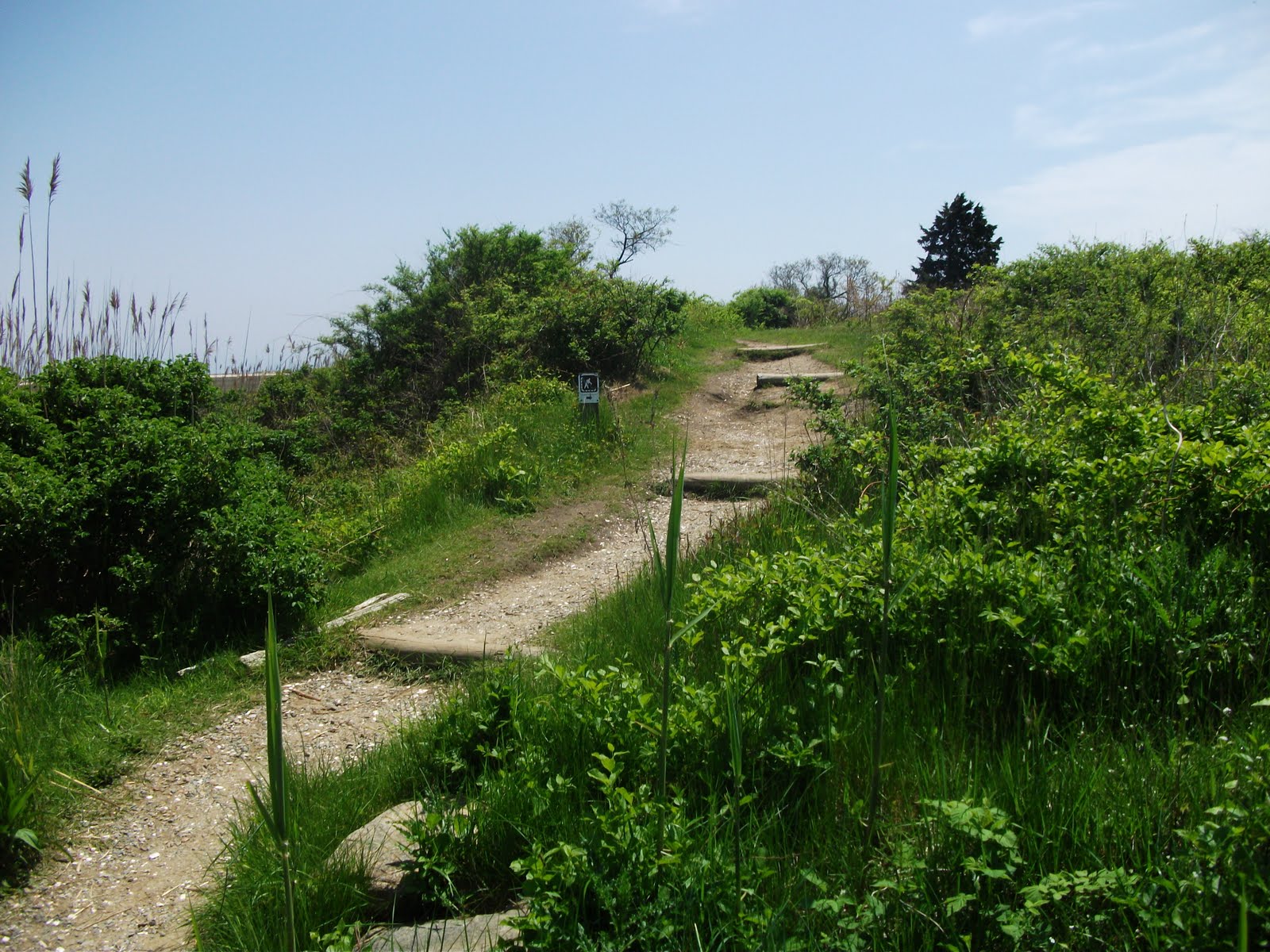 Hike Cape Cod Fort Hill, Eastham MA.