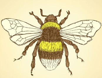 AB Objek Gambar Flora Fauna dan Alam Benda AB Objek Gambar Flora Fauna dan Alam Benda