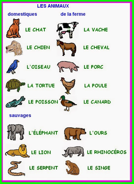 Zwierzęta - słownictwo 9 - Francuski przy kawie