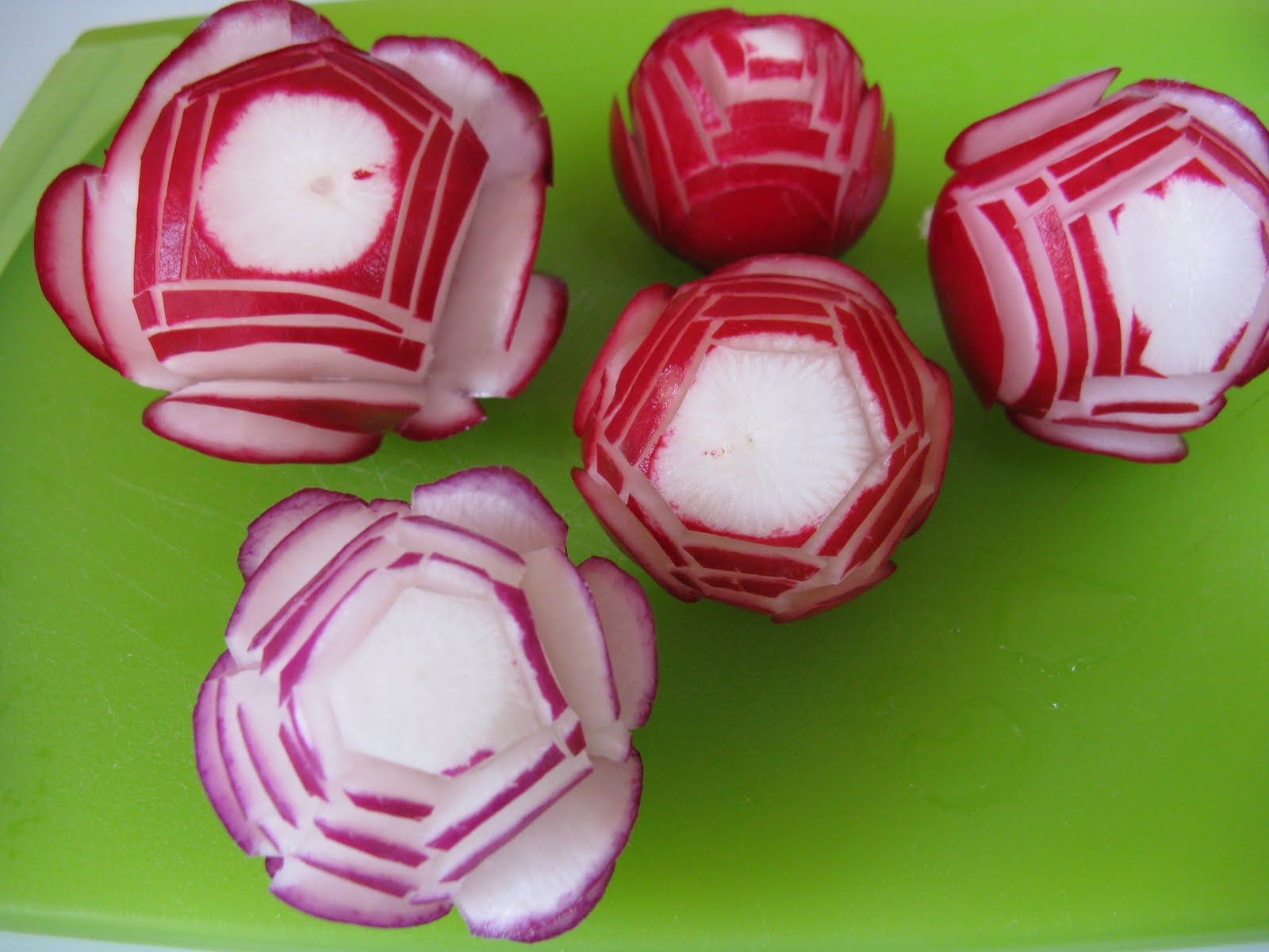 WendyKate Radish Roses