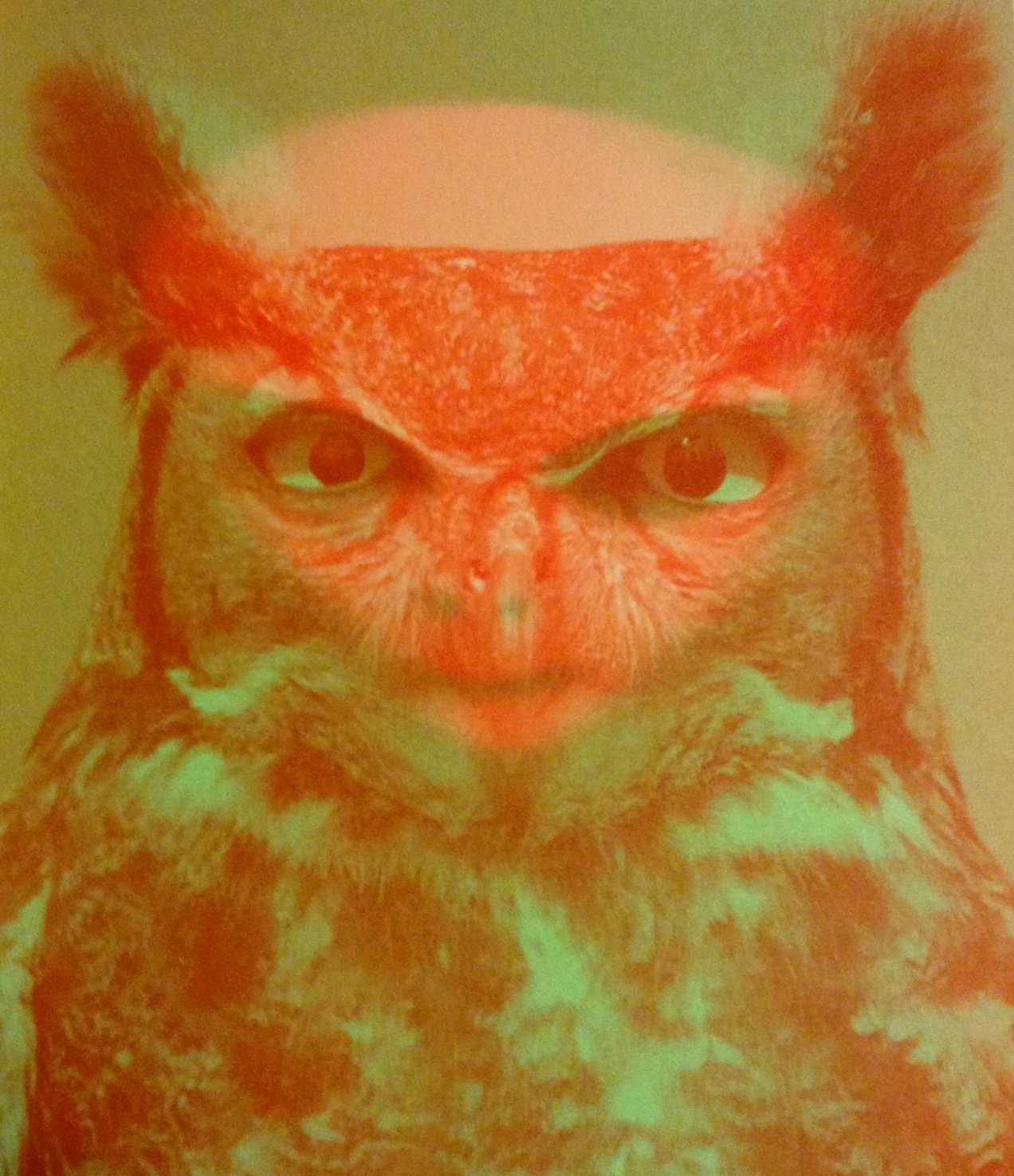 Твин пикс постер 1990. Твин пикс боб сова. Совы из твин пикса. Совы из твин пикса. Совиный знак твин пикс.