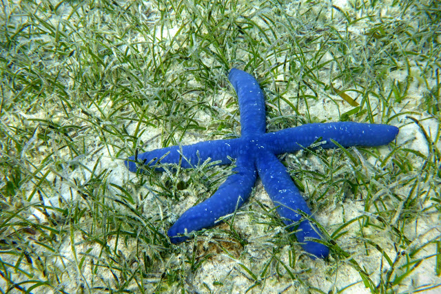 2016090102nouvelleCaledonie.JPG