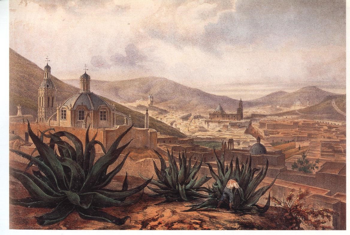 Bernardo del Hoyo Calzada Línea del tiempo en Zacatecas.