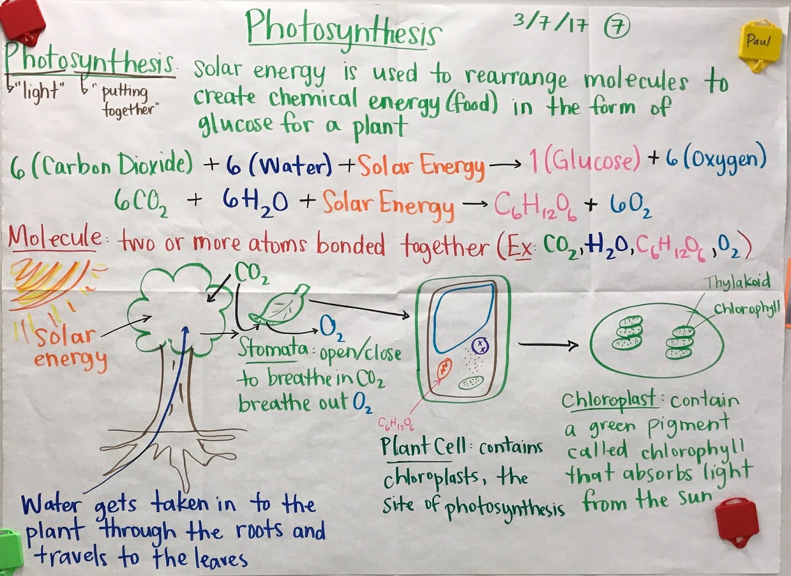 mrs paul biology biology 2016 2017 charts notes photosynthesis and cellular respiration venn diagram