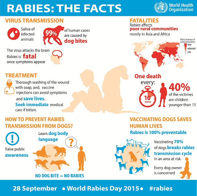 Health Observation Rabies Awareness