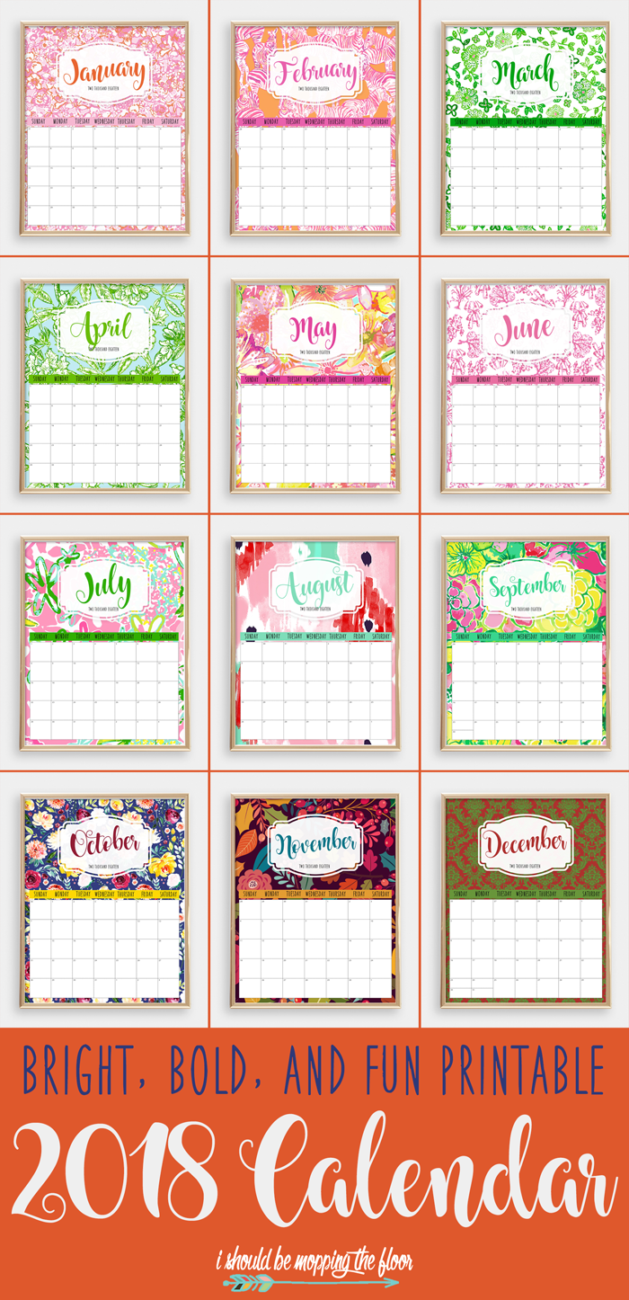 i should be mopping the floor Colorful 2018 Printable Calendar