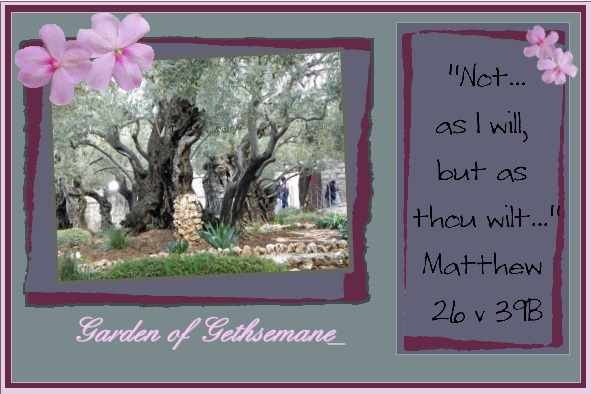 lo 1 - March 2016 - Garden of Gethsemane