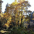 Hamta Pass Trek Manali