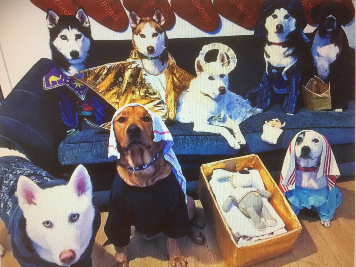 Dueling dog nativity scenes for your Christmas Eve Bob's Blitz