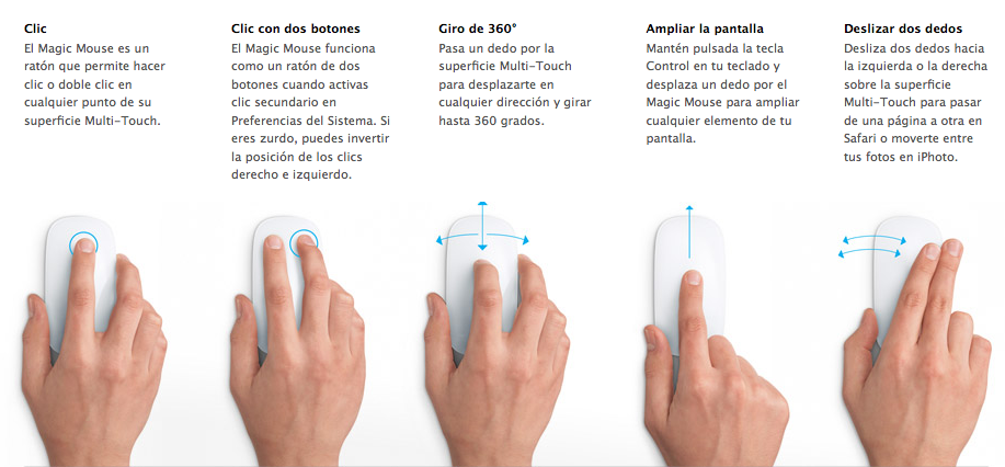 Manual para Soporte: Leccion 1