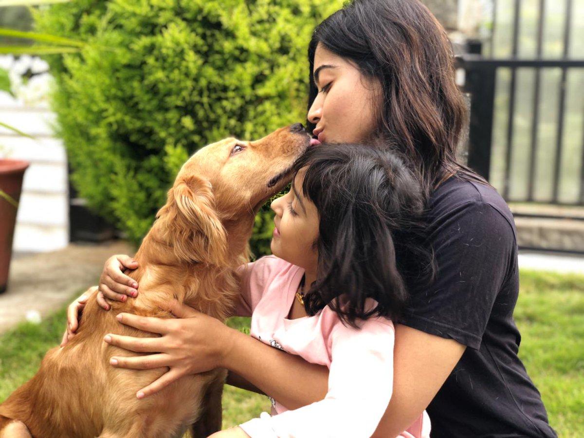 Indian Girl Rashmika Mandanna Playing With Pet Dog - Tollywood Boost
