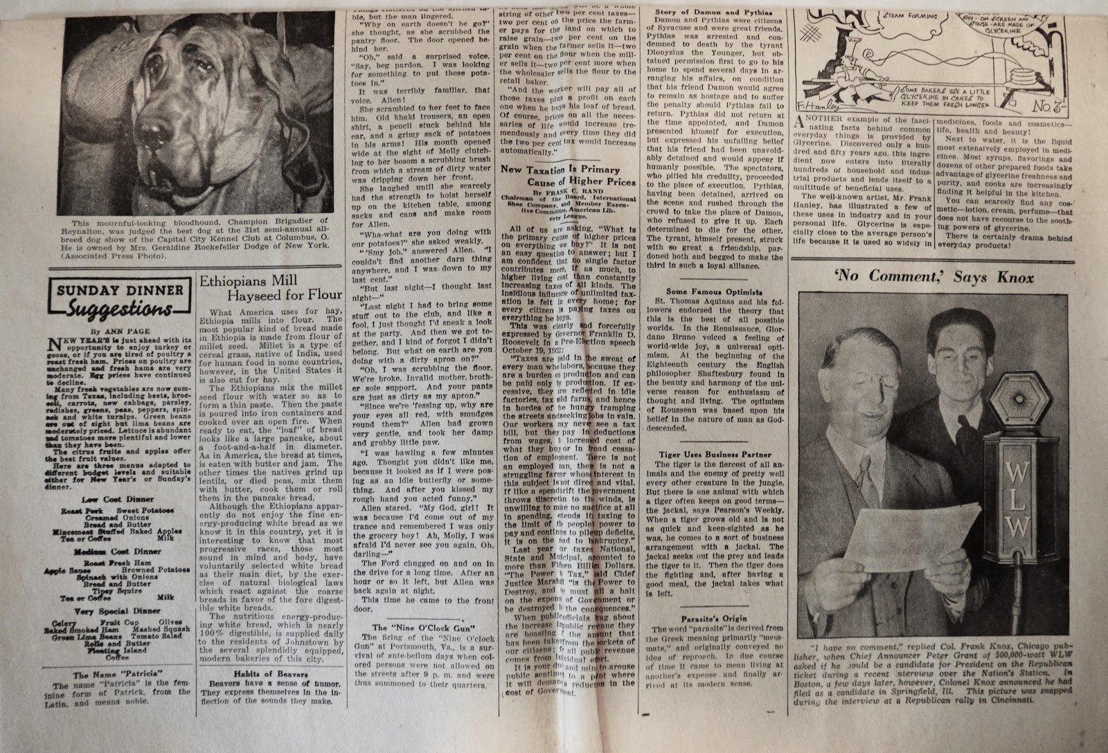 Old Johnstown Newspapers