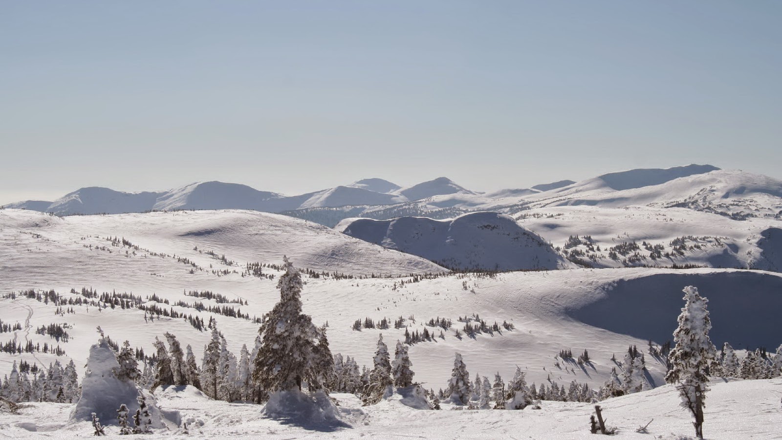 Wit winter landschap met heuvels Wallpaper met winter landschap met heuvels en sneeuw