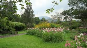 Macam-macam Gaya Taman - Pendidikan Teknik Gambar Bangunan untuk SMK