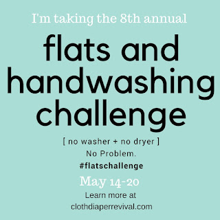 Flats Challenge Cloth Diaper Revival