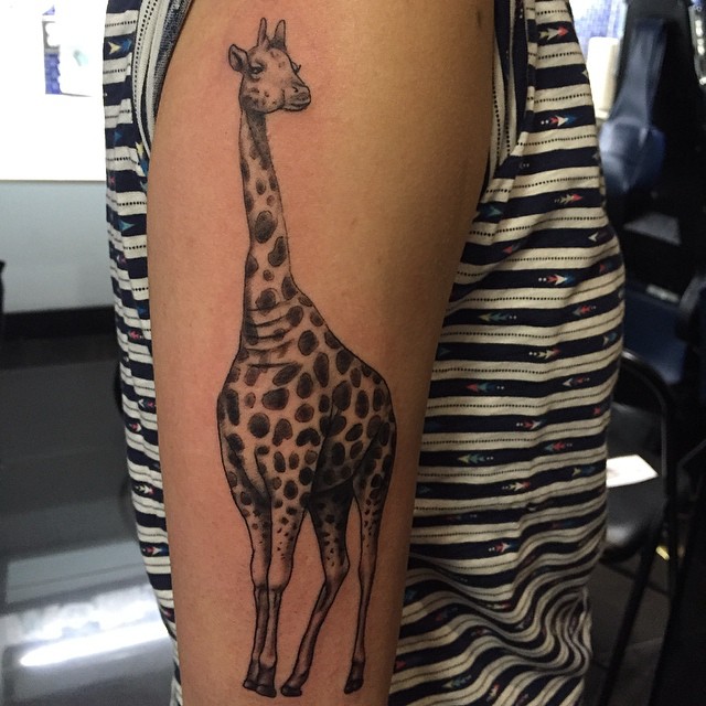 tatuagem de girafa tatuagem de girafa