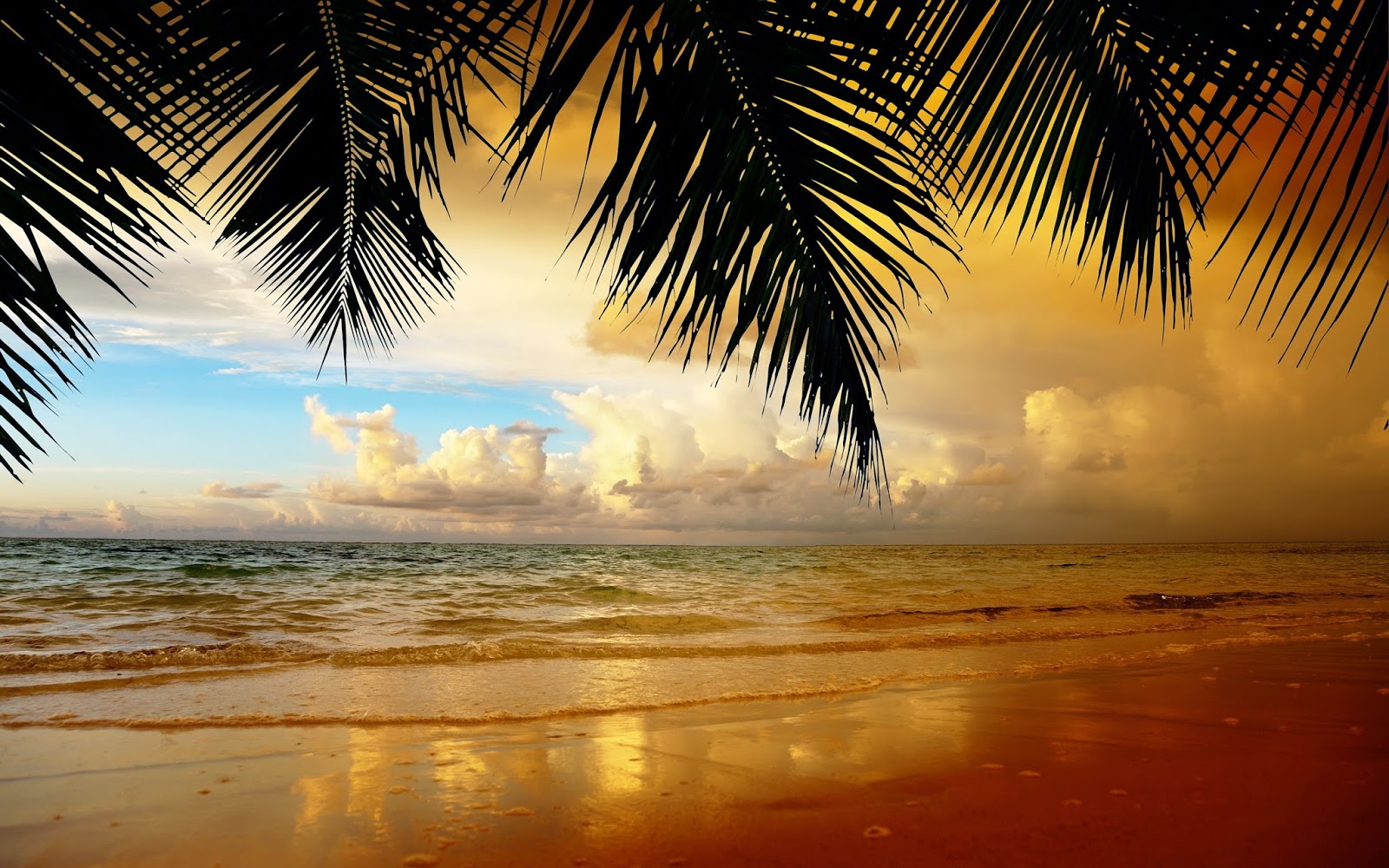 Desktop Backgrounds 4U: Beach Backgrounds