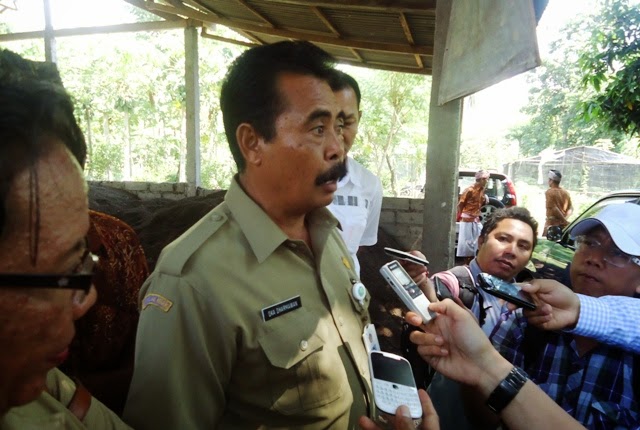 Pemprov Bali Siapkan Rp14 Miliar untuk Pupuk Kotoran Sapi