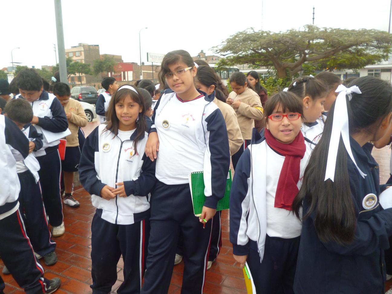 Proyectos Visita al Instituto de Salud Mental Honorio Delgado Hideyo