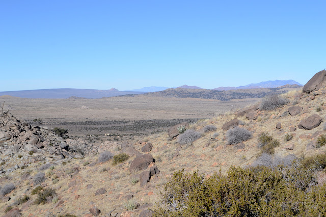 northerly view