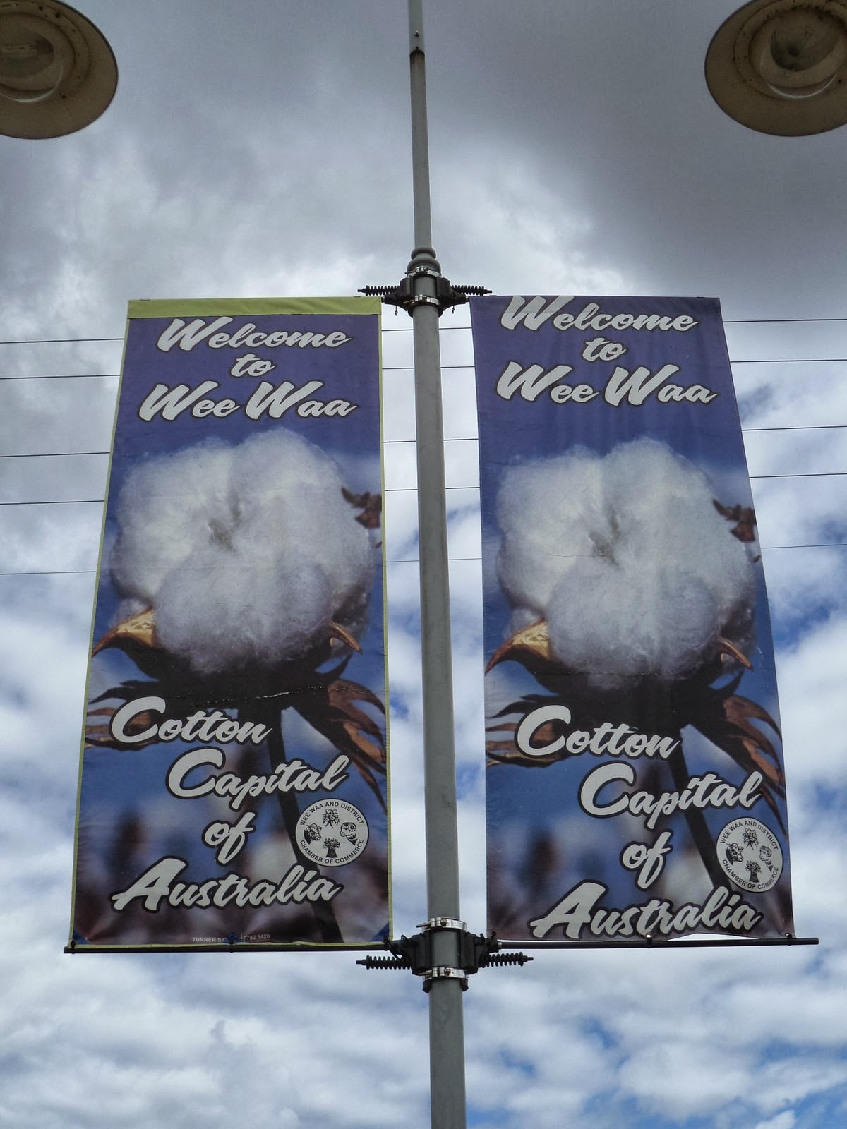 Witchwae Returns to Big Island Wee Waa Cotton capital