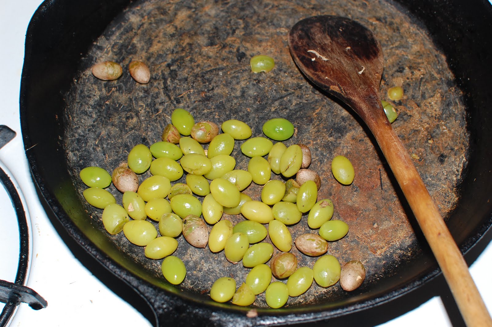 Backyard Farms Last Pick of the year Ginkgo Nuts!