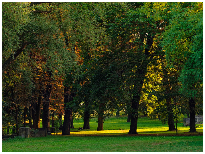 Park Szelągowski w Poznaniu