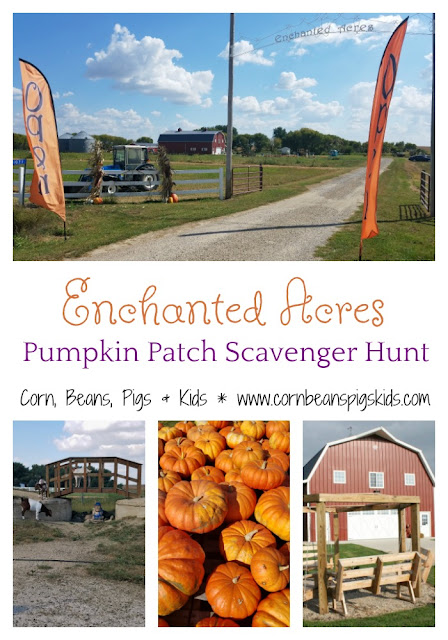 Enchanted Acres Sheffield, Iowa Midwest Pumpkin Patch Scavenger Hunt