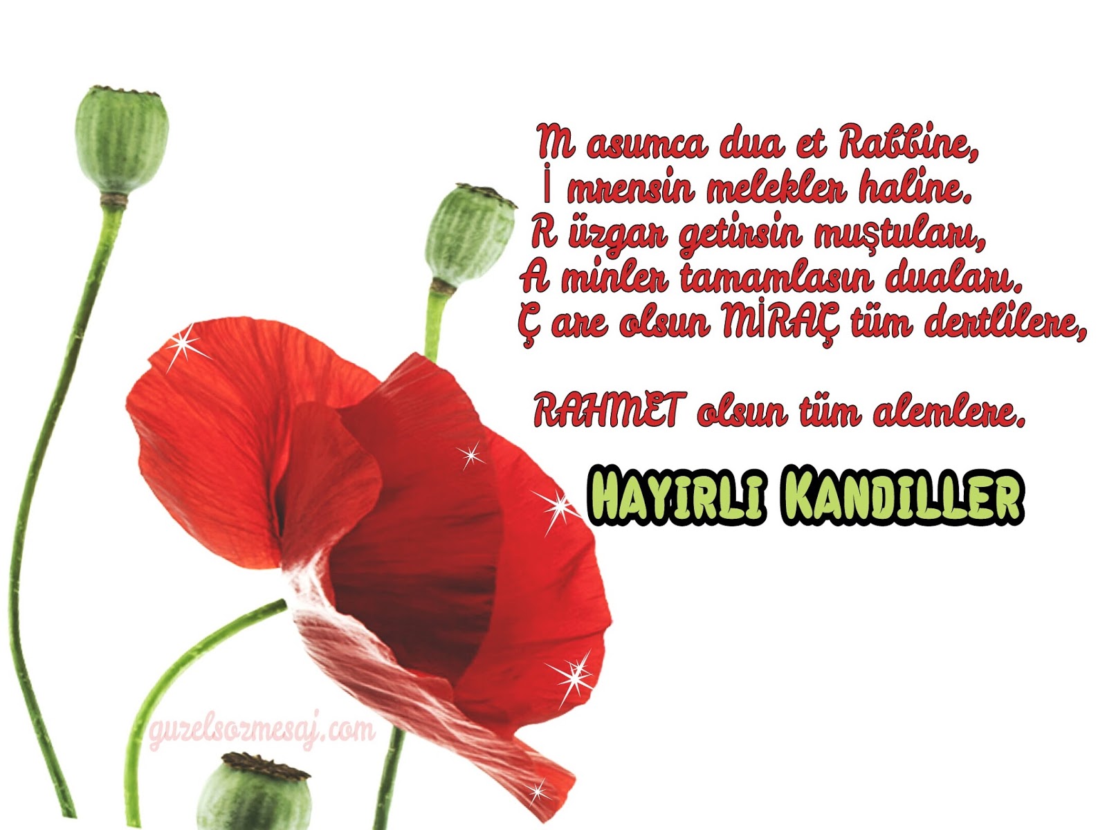 Miraç kandili mesajları kısaca Miraç kandili mesajları kısaca