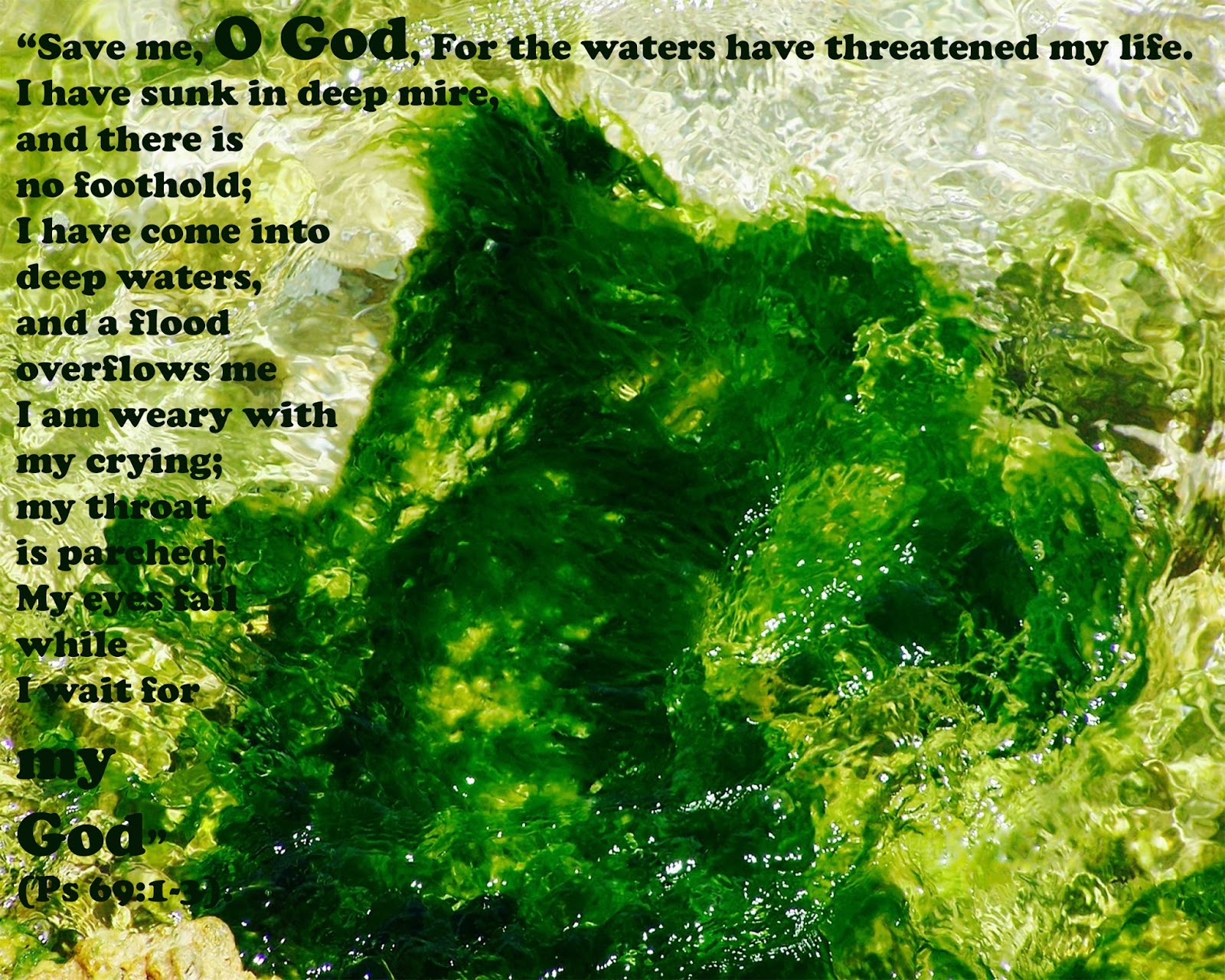 Prayer And Bible Expo Psalm 69 1 3 Prayer And Bible Expo Psalm 69 1 3