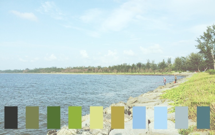 color palette, miri sarawak