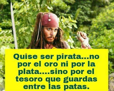 Quise ser pirata, no por el oro ni por la plata, sino por el tesoro que guardas entre las patas Quise ser pirata, no por el oro ni por la plata, sino por el tesoro que guardas entre las patas