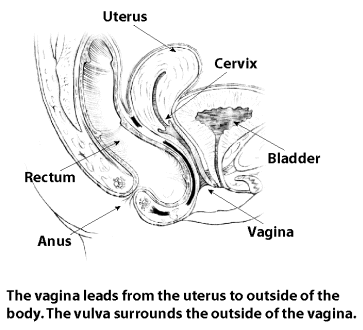Best of Tips on finding the vaginal hole Best porno Teens sucking black dicks
