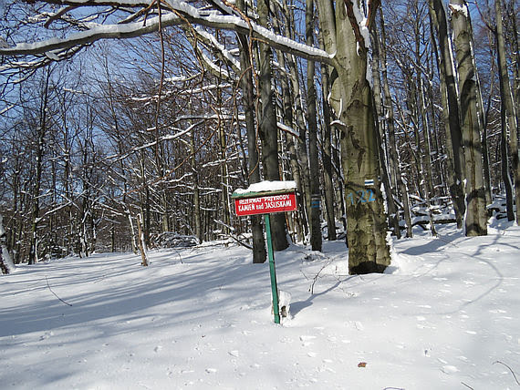 Rezerwat przyrody „Kamień nad Jaśliskami”.