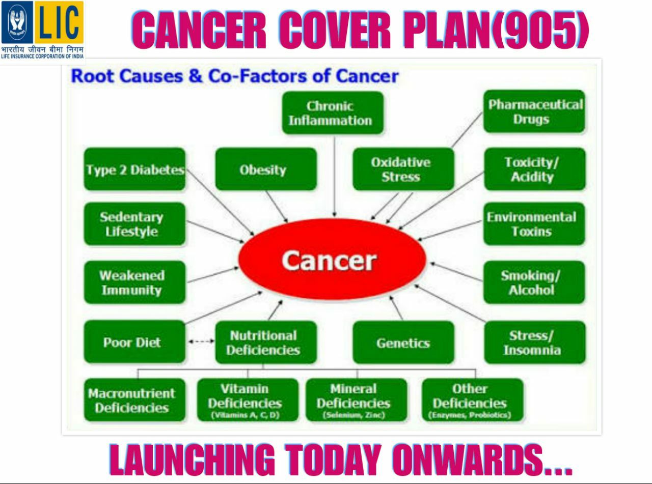 Cancer Plan