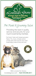 Boarding for small breed dogs and cats. Grooming for all!