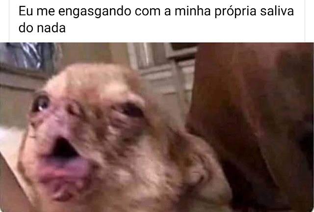 Memes engraçados Memes engraçados