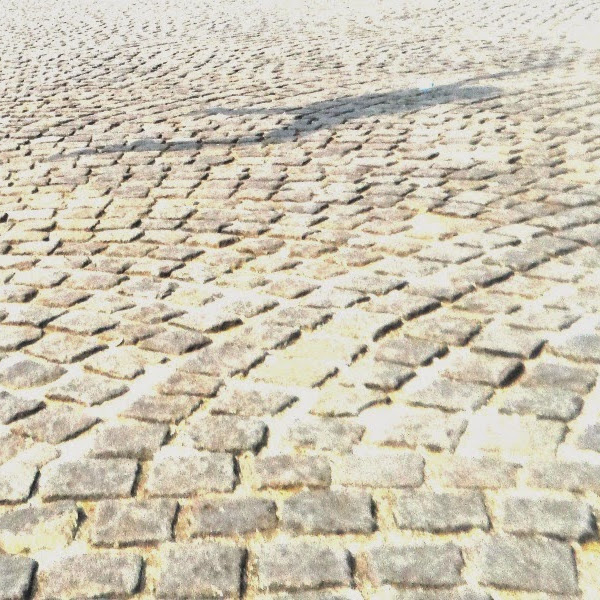 Saya Bertanya Tentang Amanah