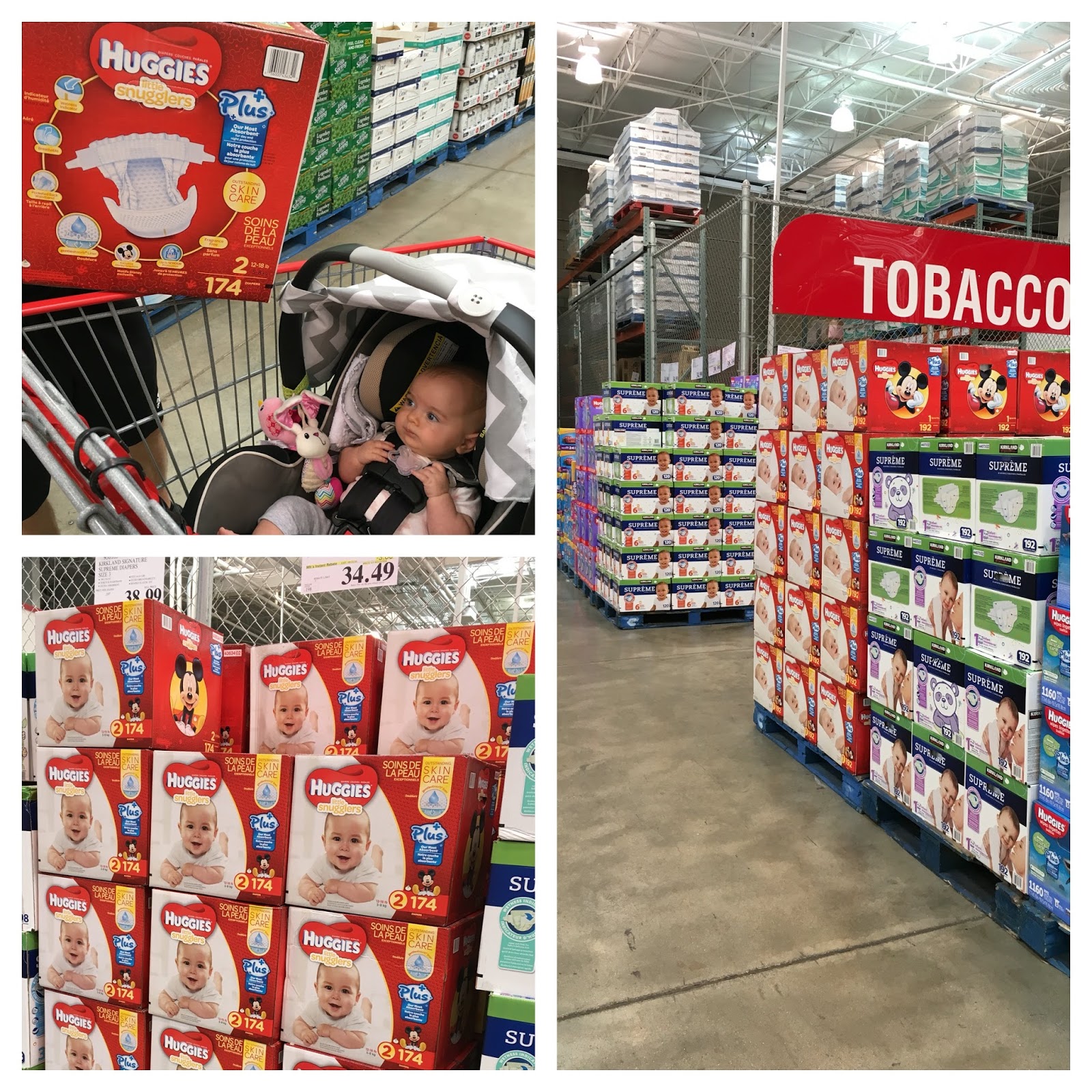 Costco Baby Diapers Newborn newborn kittens