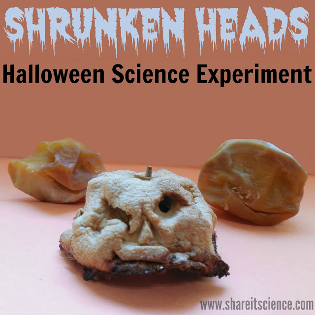 Halloween Science Experiment STEAM activity