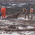 FIQUE SABENDO! / Agentes executam animais na lama de Brumadinho com tiros 