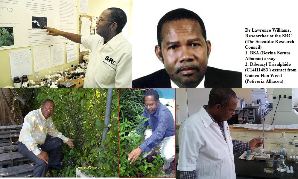 My Thoughts on Technology and Jamaica Dr Lawrence Williams develops