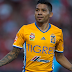 Tigres avanzó a otra Final