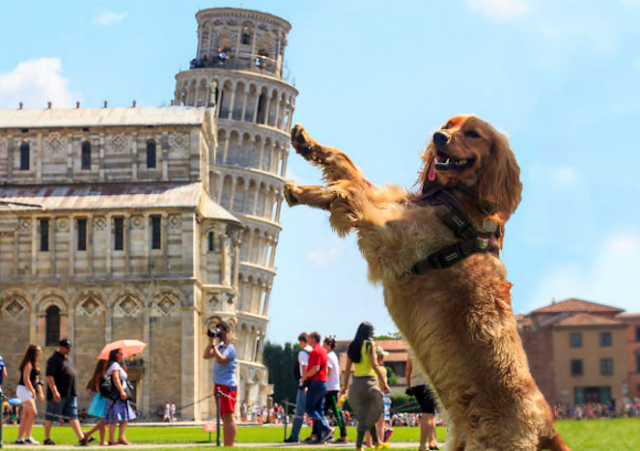 Pisa Kulesi Pisa Kulesi