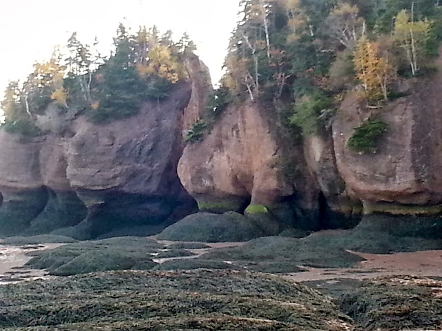Fundy National Park - A Pinay's Diary