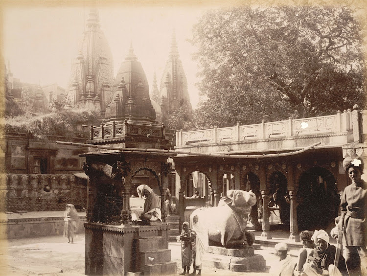 Kashi Vishwanath Temple Complex