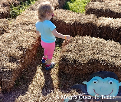 A Mom's Quest to Teach: Trips: Pumpkin Picking - A fun, family tradition. Do you pick pumpkins? #family #traditions #halloween #trips