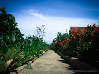 Garden Walkway On A Sunny Day With Syzygium Oleana And Heliconia Metallica Plants At Tangguwisia Village, North Bali, Indonesia